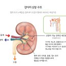 파크동물의료센터 이미지
