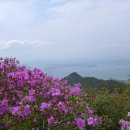 토월주유소 이미지