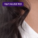 쿠쿠대구 이미지