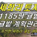 [ 표선 세화리 토지 매매(1,185평/ 감귤밭/2차선 도보1분) ]#세화토지, 세화리토지, 표선토지, 표선면토지, 서귀포토지, 서귀포시토지 이미지