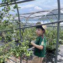 한준농장 이미지