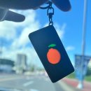 아덴힐리조트수영장 | 250729_ 어영부영 제주도 4인 2박3일 가족여행 후기