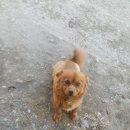 기승농장 이미지