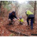 춘길농장 이미지