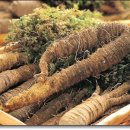 더덕이네 이미지