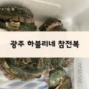 272-1017 | 광주명절선물,하블리네 참전복 해남 전복 포장 구매