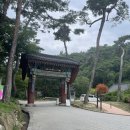 용문산 관광지 | 서울근교 계곡 당일 가족물놀이 양평놀거리 용문산관광지