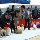 이천공설운동장 이미지