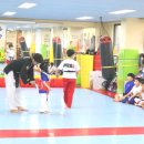 MTA태권도장 이미지