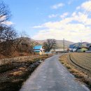 와지(부지2리) 이미지