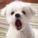위로 이미지