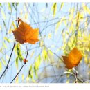 강변자전거길 2 이미지