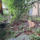 그늘막132 이미지