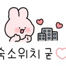 홈바운드스테이 이미지
