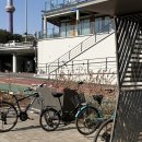 중랑천 | 노원 두물마루 평일 후기 :: 중랑천 산책, 카페 뷰, 군고구마