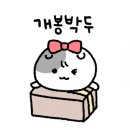 모이지 게스트하우스 이미지