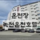 셀프 웨딩 후기｜농심호텔 근처 녹천온천호텔 패밀리룸 숙박 & 객실 온천 후기