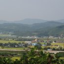 잣미 이미지