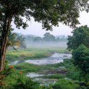 강변에서 이미지