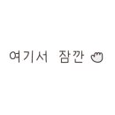 노드피자 이미지