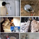 금산수도공사