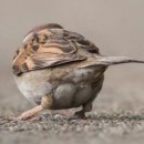 코어휘트니스 3호점 이미지