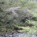 제주의사계 이미지