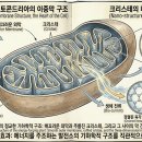 제3장 이미지
