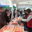 영암하나로클럽 이미지