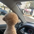 아요하우스 이미지