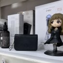 신광약품(주) | 디카일기 - CCD 먼지 청소 편 -