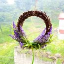 자연과미술유치원 이미지