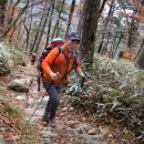 노고단-10 이미지