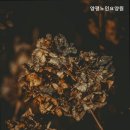 양평군노인요양원 | 양평요양원 양평노인요양원 신뢰할 수 있는 양평요양원