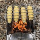 삼안카서비스 | [삼안힐링] “캠핑... 숲에서 잠들다.”