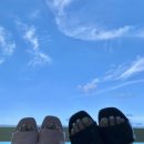 선여불로 이미지