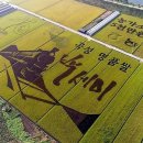 석곡농협 하나로마트 이미지