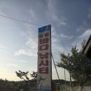 미리내2호 가두리낚시터 | 한여름 영흥바다낚시터 현실 후기, 더위와 입질 싸움