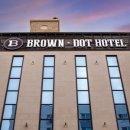 브라운도트 이미지