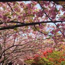 서학로 사거리 이미지