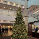 다이너스티 웨딩뷔페 | 12년 연애의 결실 신도림 테크노마트 웨스턴 베니비스 신도림 다이너스티홀 하객 후기 (뷔페, ATM)