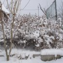 서림농원 이미지