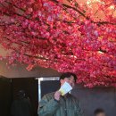 씨어터쿰 티스토리