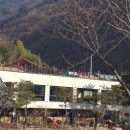 토르첼로