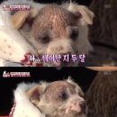 미문농장 이미지