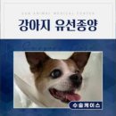 sun동물병원 이미지