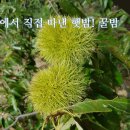 현옥농장 이미지