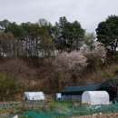 월산농장 이미지