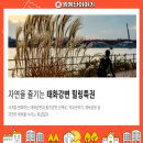 의료법인동강의료재단동천동강병원 이미지