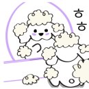 아띠 펜화교실 이미지